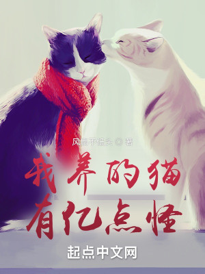 我养的猫，有亿点怪